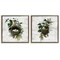 Stupell Industries Rustic Vintage Bird Nests 2pc Floating Frame Set Design by Susan Arnot